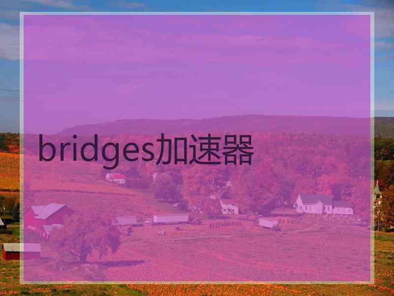 bridges加速器