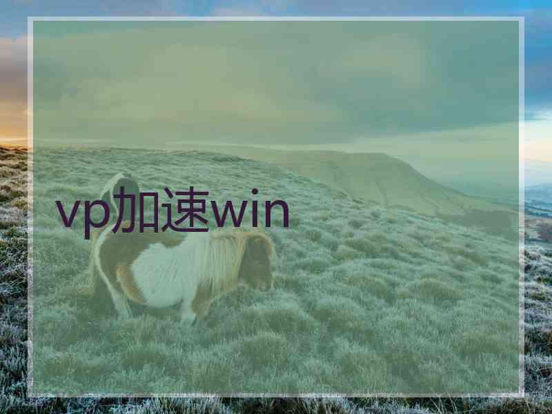 vp加速win