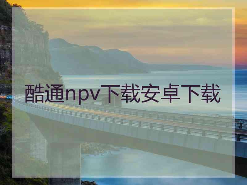 酷通npv下载安卓下载