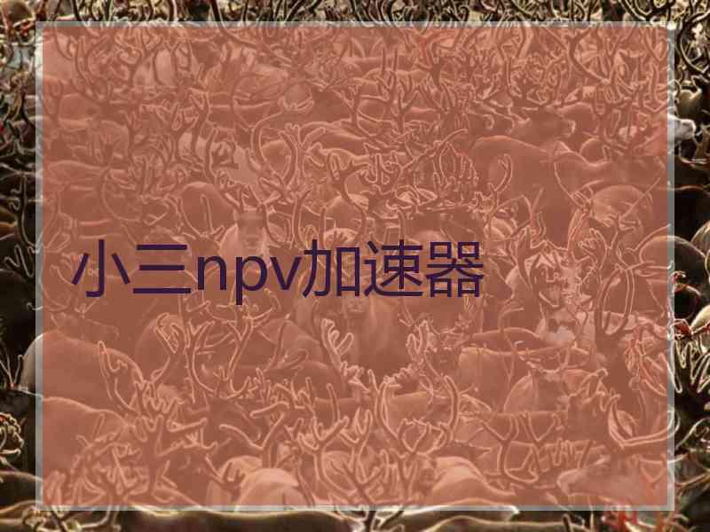 小三npv加速器