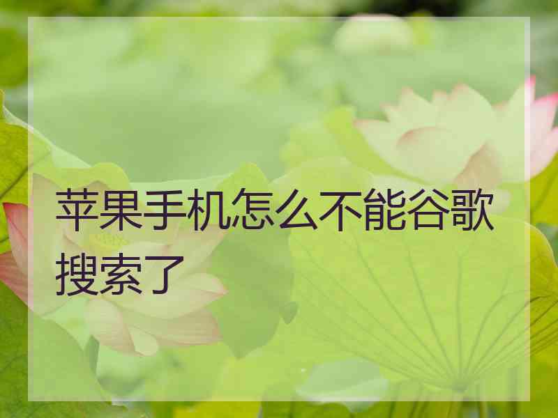 苹果手机怎么不能谷歌搜索了