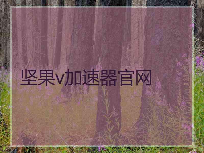 坚果v加速器官网