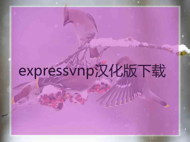 expressvnp汉化版下载