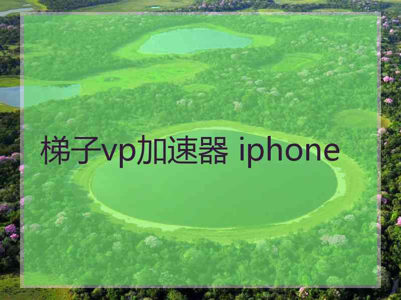 梯子vp加速器 iphone