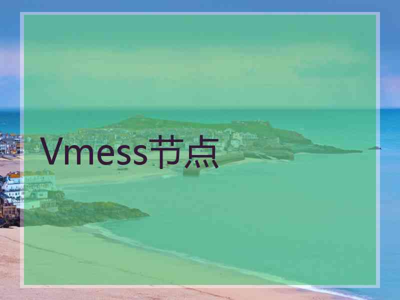 Vmess节点