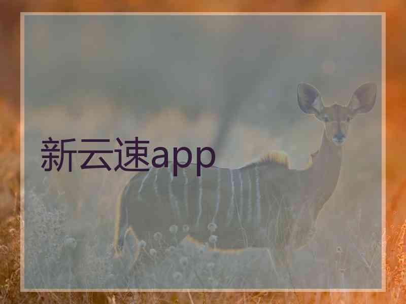 新云速app