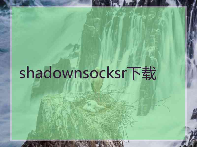 shadownsocksr下载