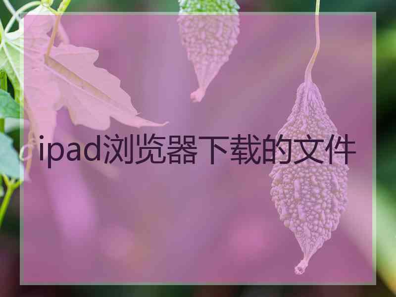 ipad浏览器下载的文件