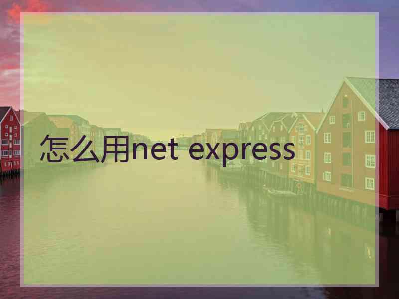 怎么用net express