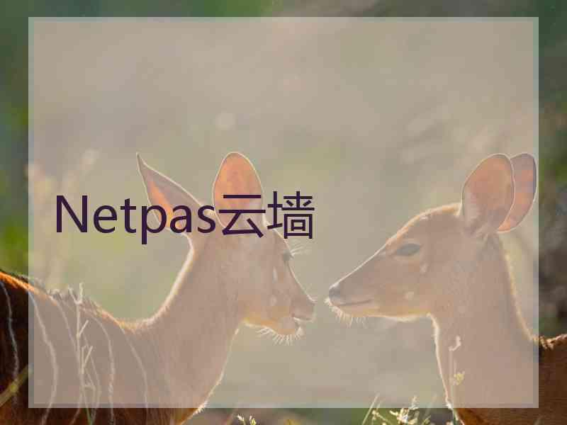 Netpas云墙