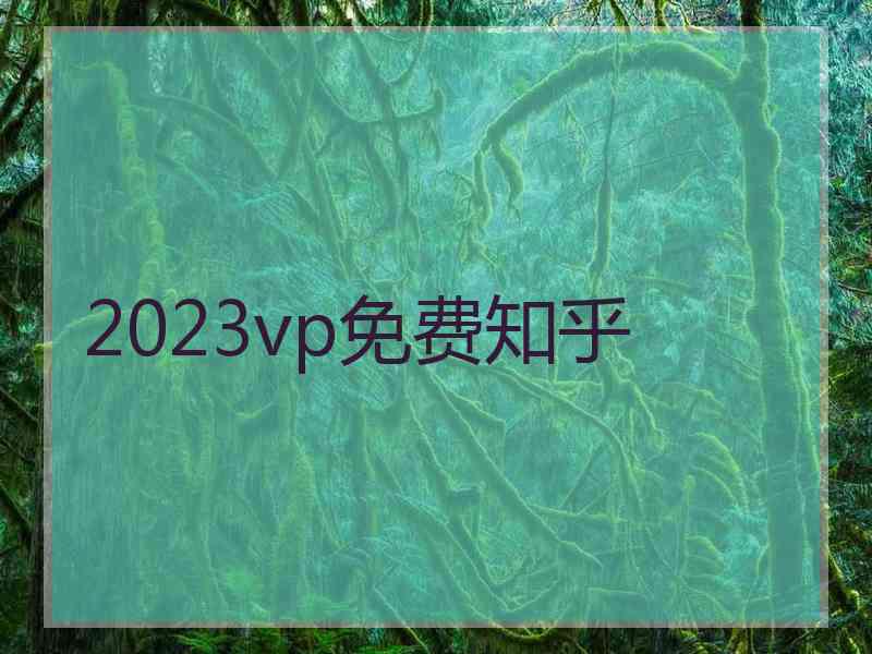 2023vp免费知乎