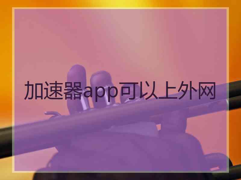 加速器app可以上外网