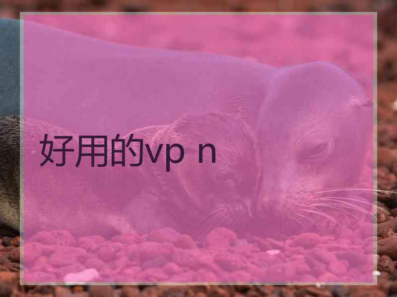 好用的vp n