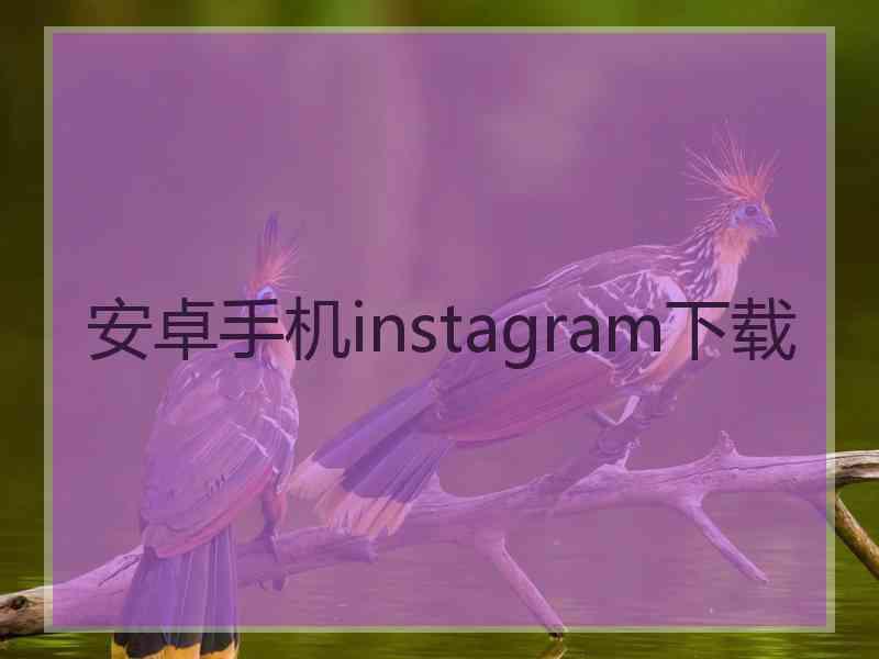 安卓手机instagram下载