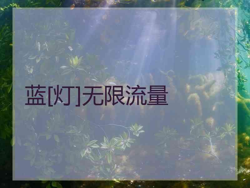 蓝[灯]无限流量