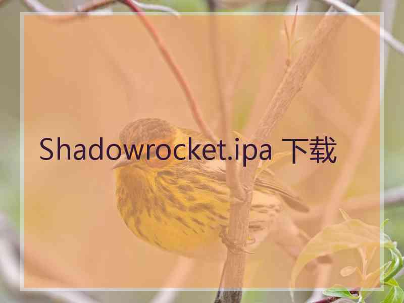 Shadowrocket.ipa 下载