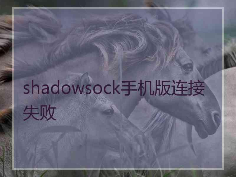 shadowsock手机版连接失败