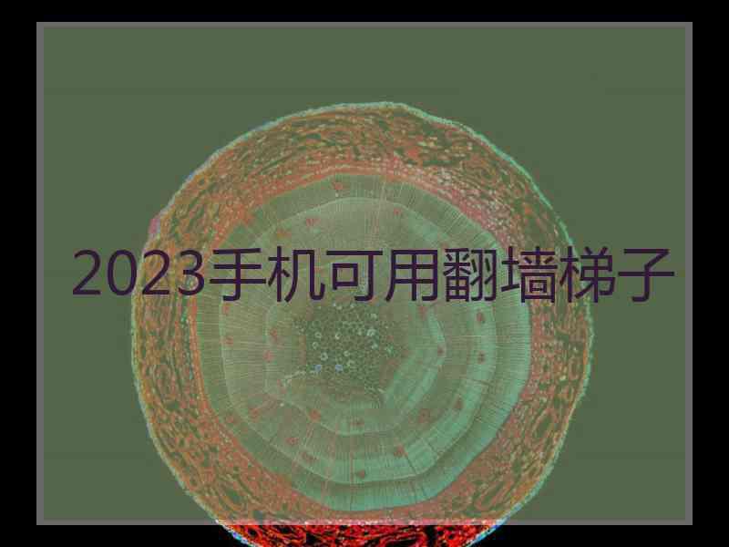 2023手机可用翻墙梯子