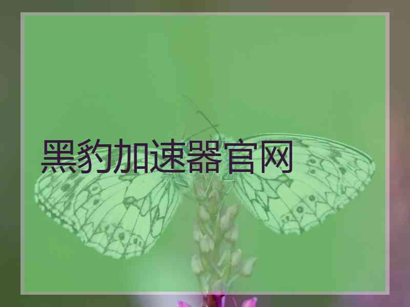 黑豹加速器官网