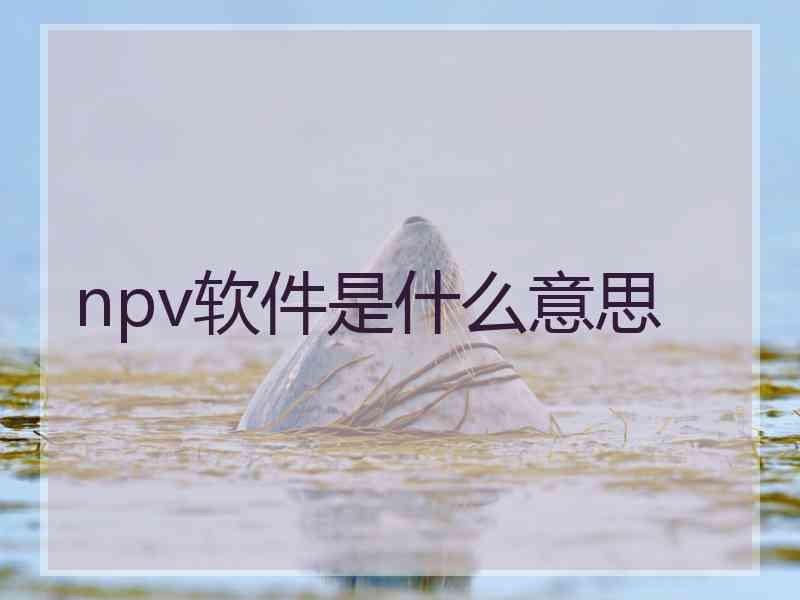 npv软件是什么意思