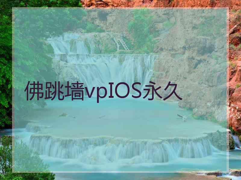 佛跳墙vpIOS永久