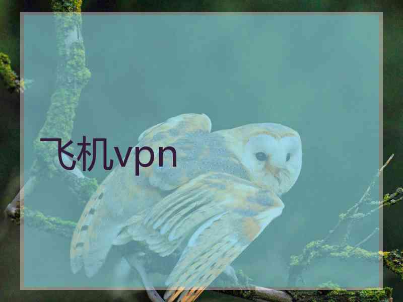 飞机vpn