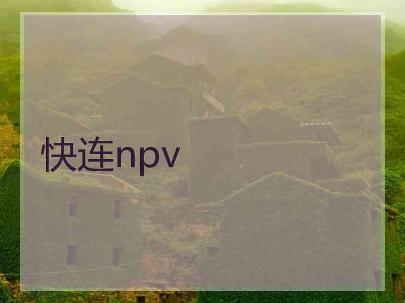 快连npv