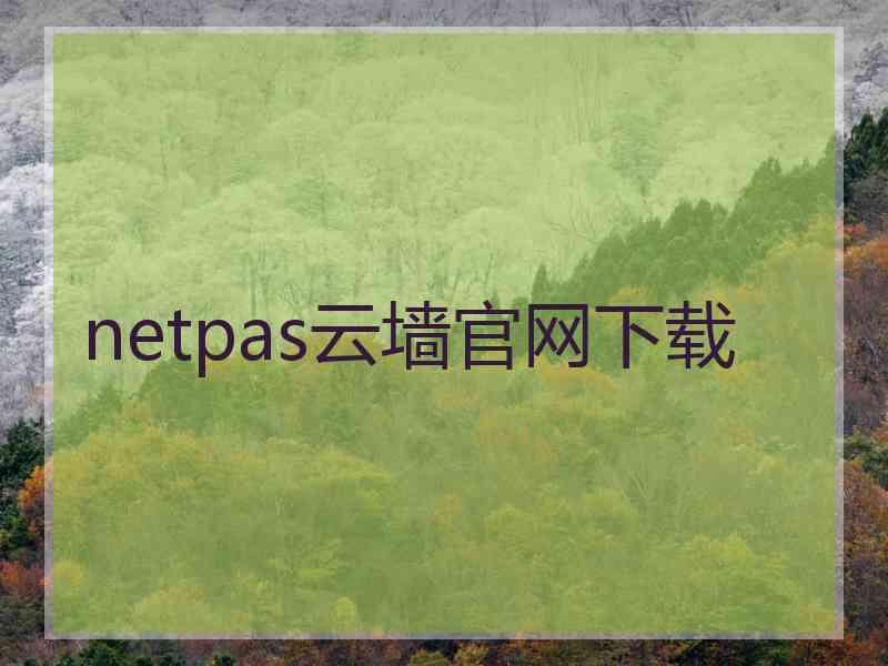 netpas云墙官网下载