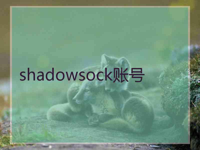 shadowsock账号