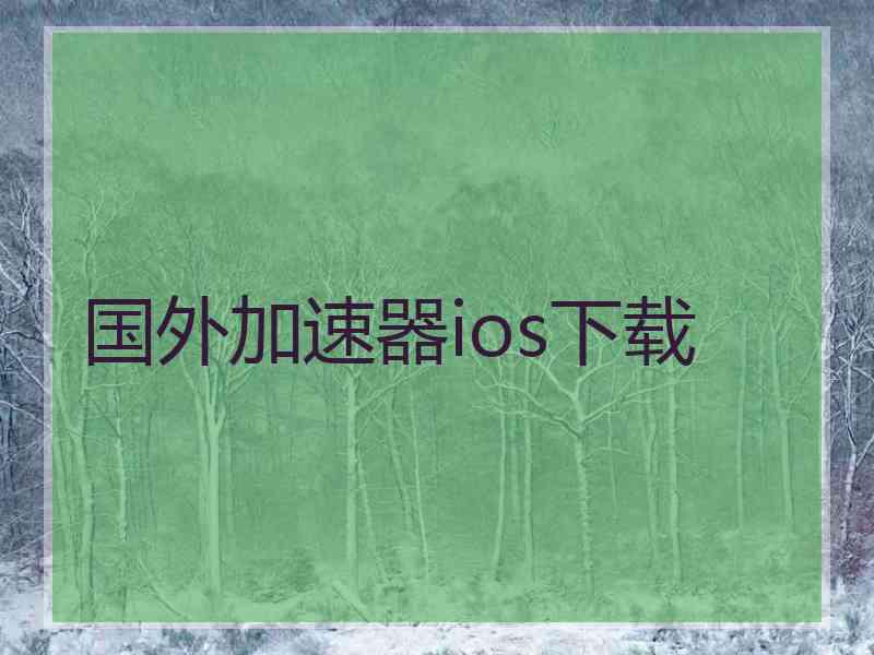 国外加速器ios下载