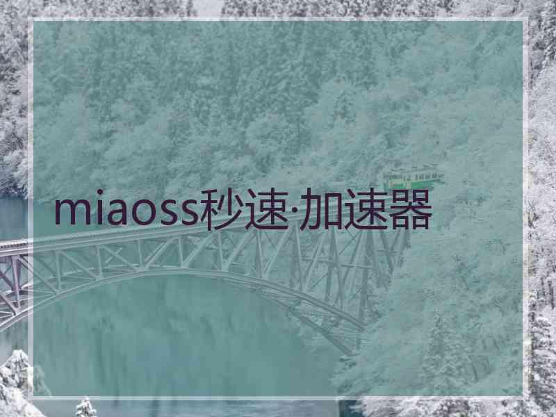 miaoss秒速·加速器