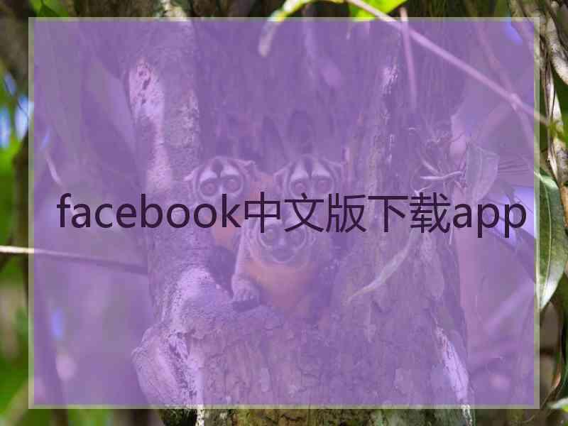 facebook中文版下载app