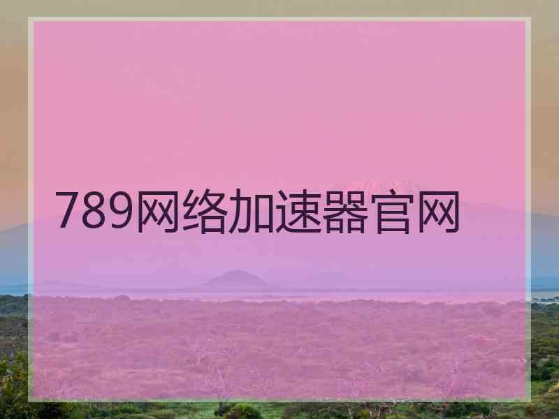 789网络加速器官网