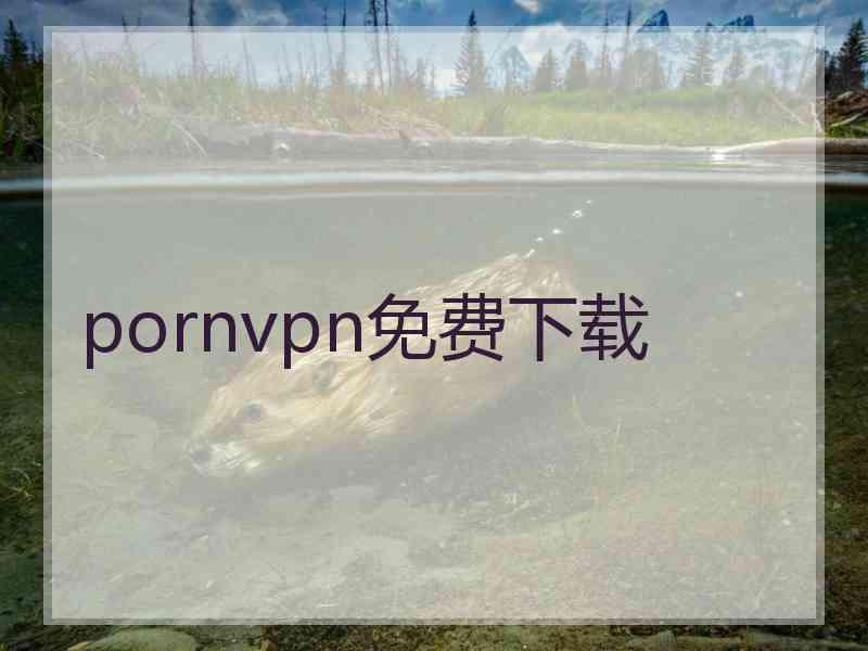 pornvpn免费下载