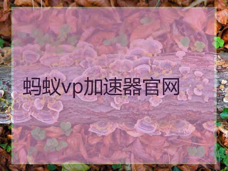 蚂蚁vp加速器官网