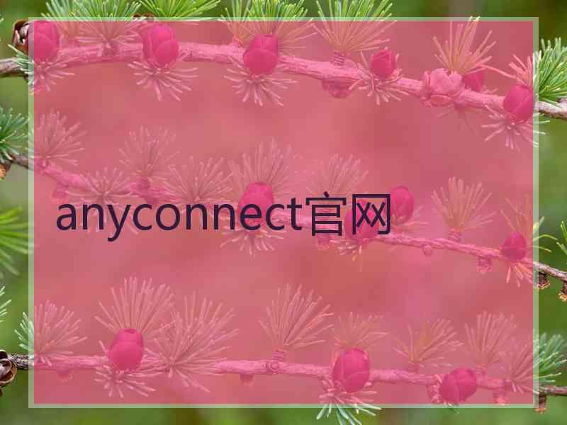 anyconnect官网