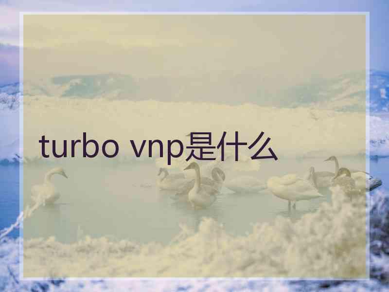 turbo vnp是什么