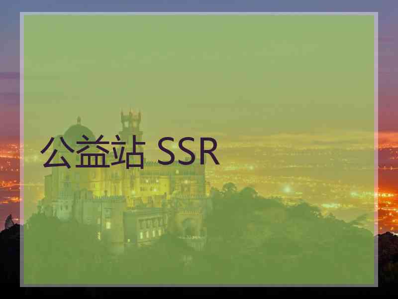 公益站 SSR