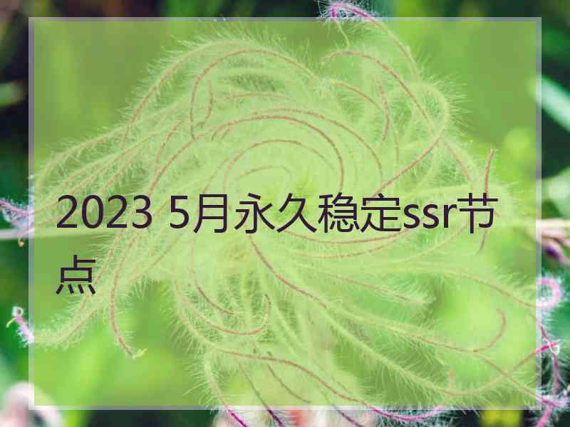 2023 5月永久稳定ssr节点