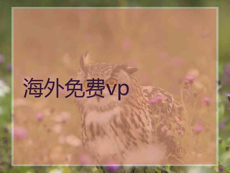 海外免费vp