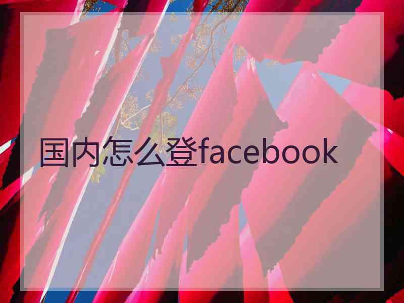 国内怎么登facebook