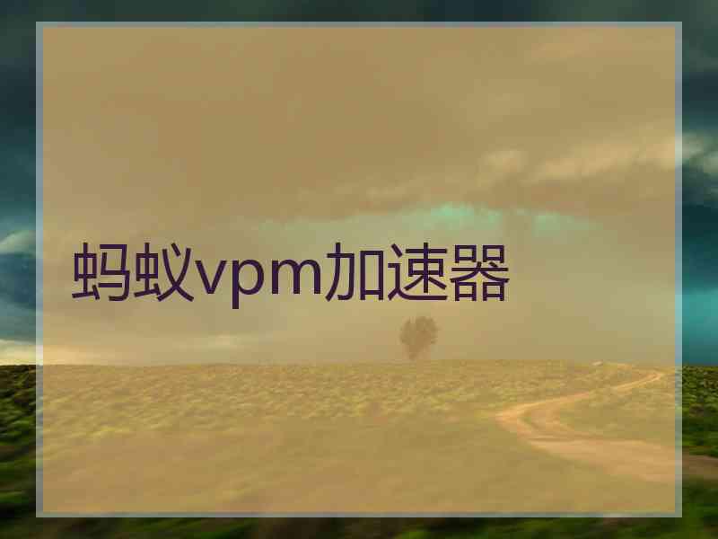 蚂蚁vpm加速器