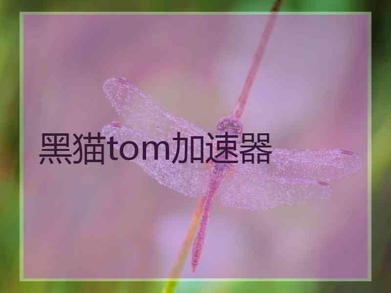 黑猫tom加速器