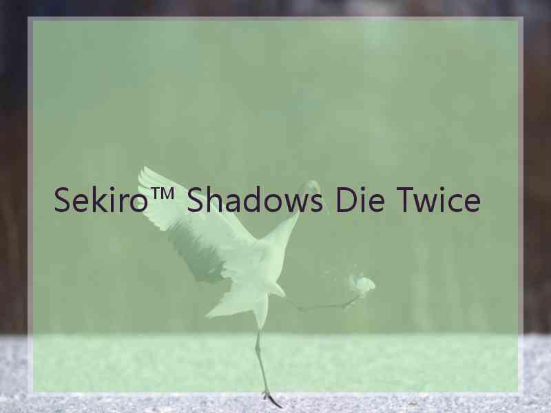 Sekiro™ Shadows Die Twice