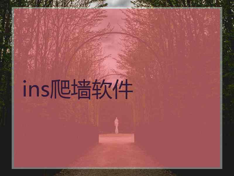 ins爬墙软件