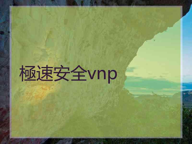 極速安全vnp