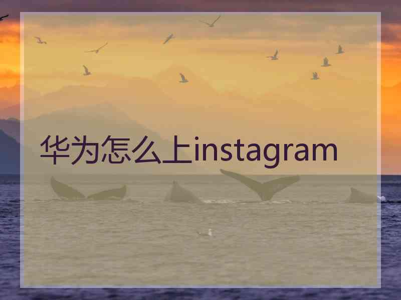 华为怎么上instagram