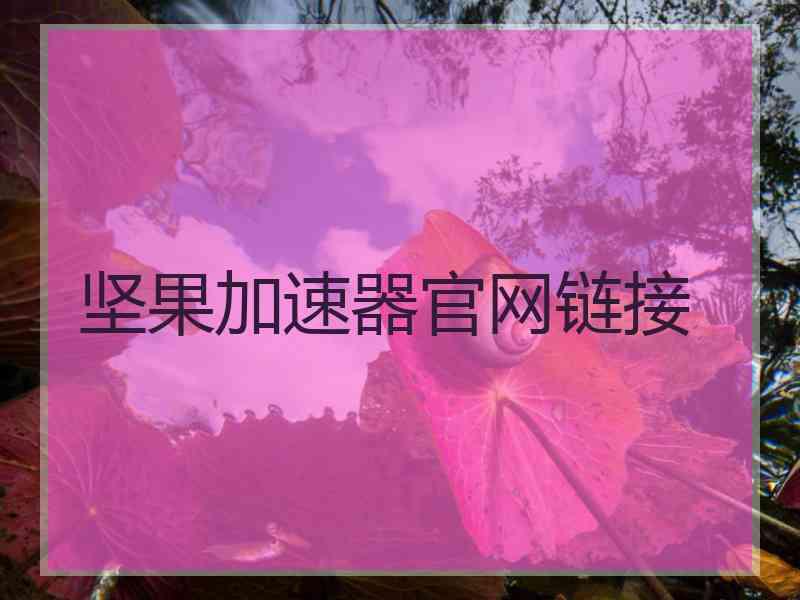 坚果加速器官网链接