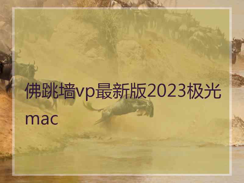 佛跳墙vp最新版2023极光 mac