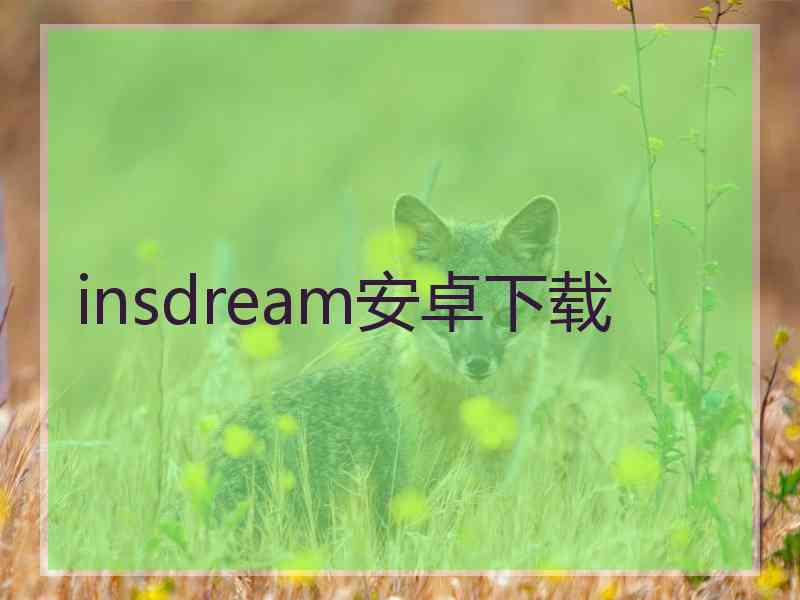 insdream安卓下载